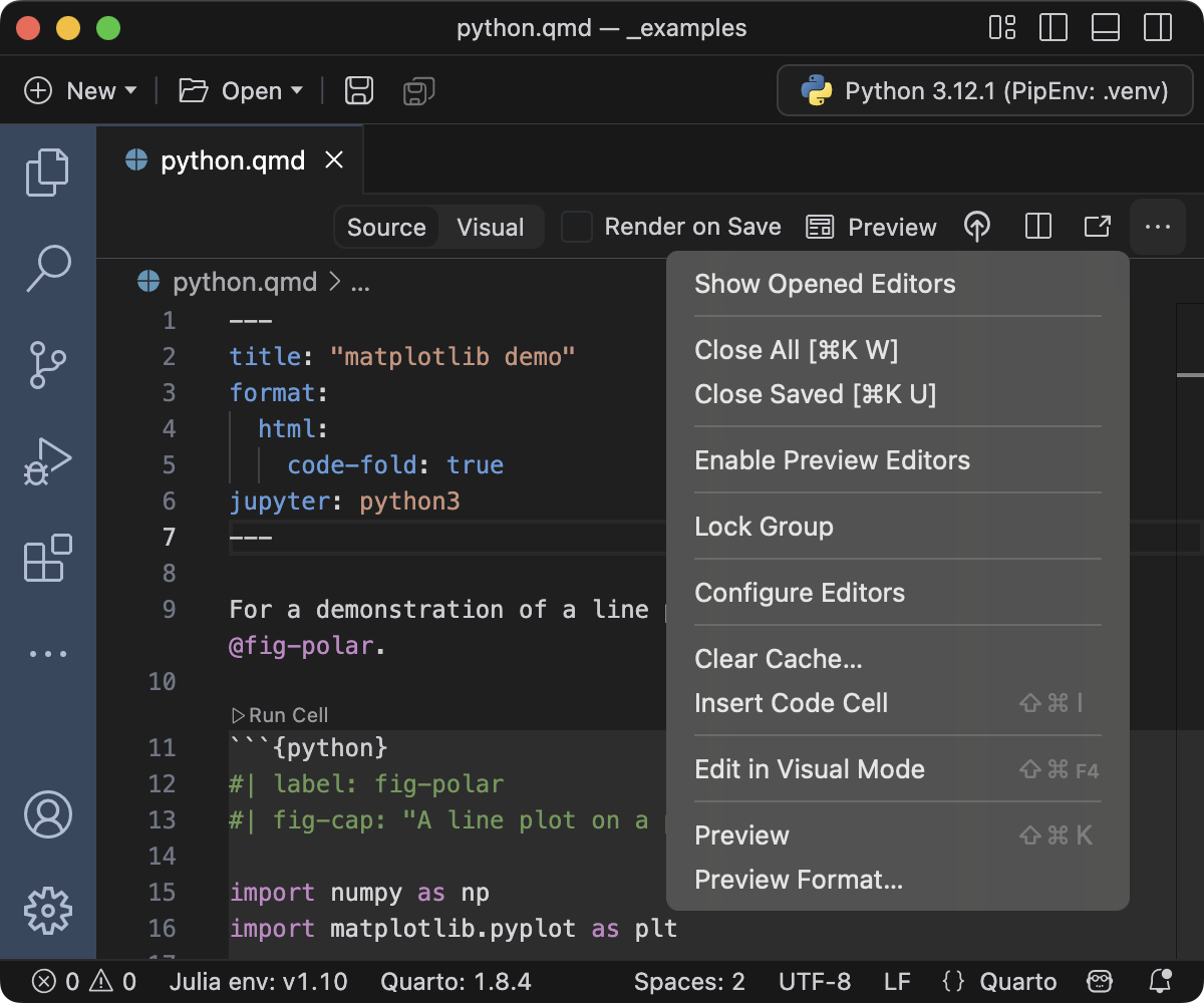 The top of the Positron editor. The editor title menu is expanded and the Preview Format command is available on the menu.