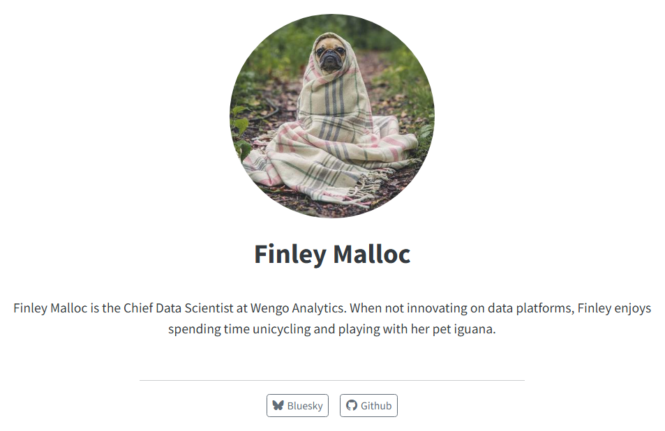 Screenshot of an about page. It has a large round circle in the top center with an image shown. Below that is a name in large type, with smaller placeholder body text beneath it. There are two buttons at the bottom, one for Bluesky, and one for GitHub.